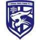 Logo Wuhan Three Towns FC